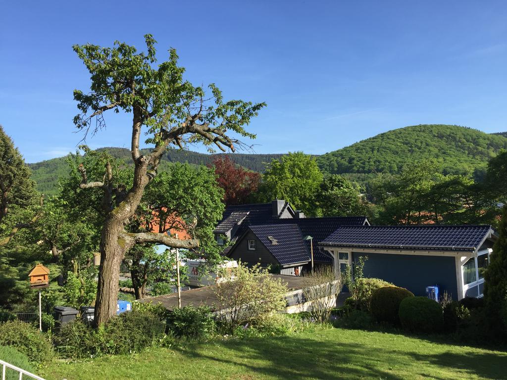 Ferienhaus Goethestrasse Bad Harzburg Buitenkant foto